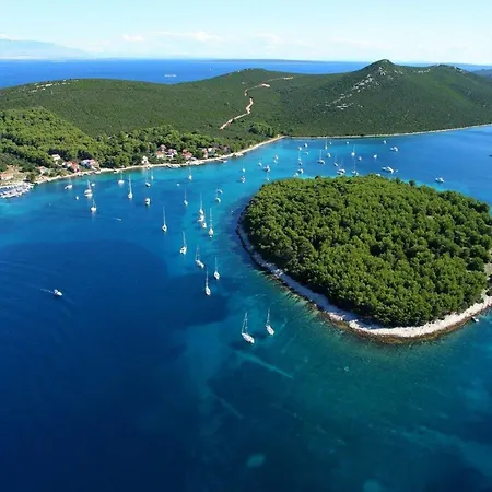 Spacious Sea-front In With Sea View Apartment Molat